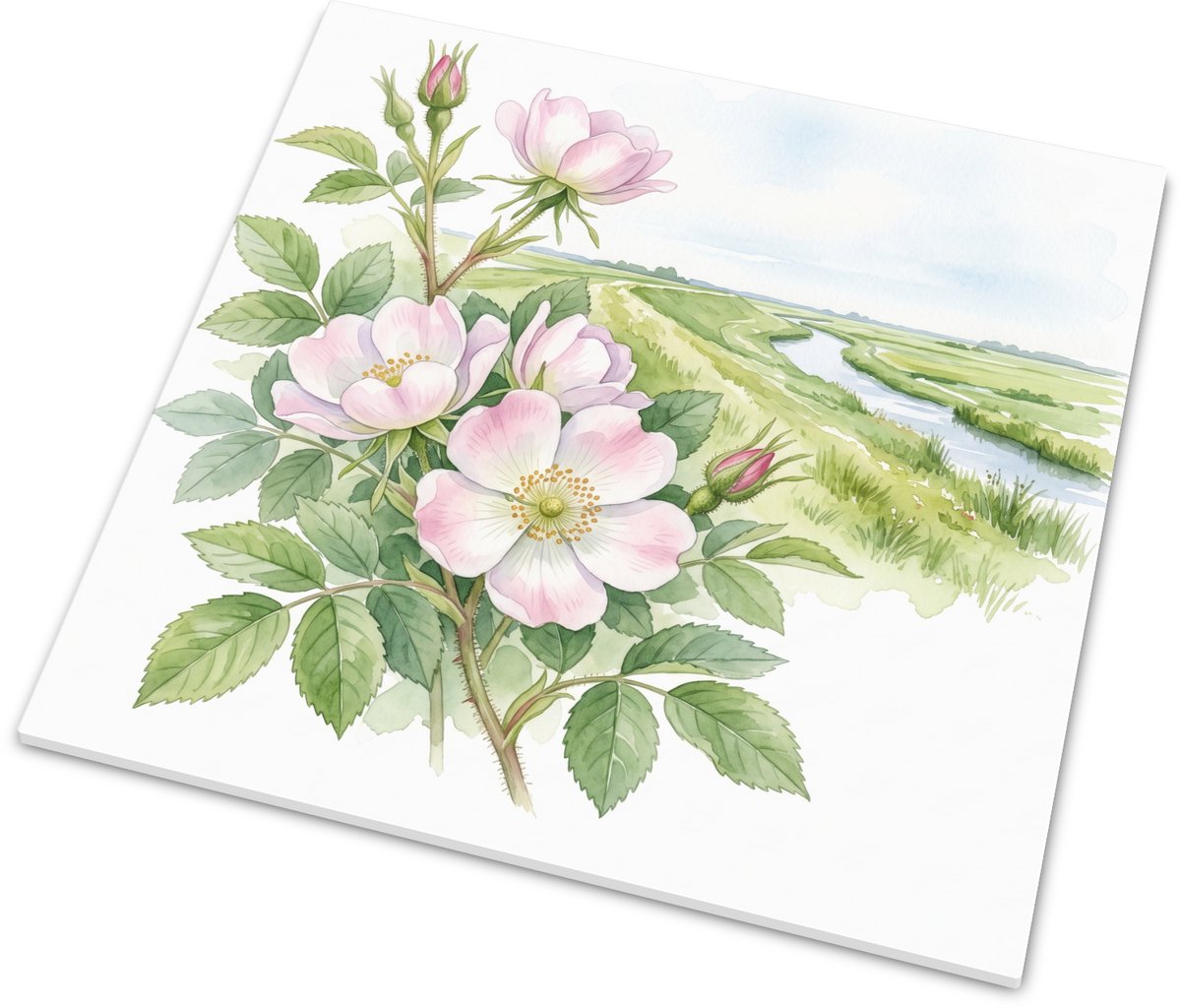 Tegeltje Ruwe Viltroos in Polderlandschap - Glanzend Wandtegeltje met Elegante Aquarel van