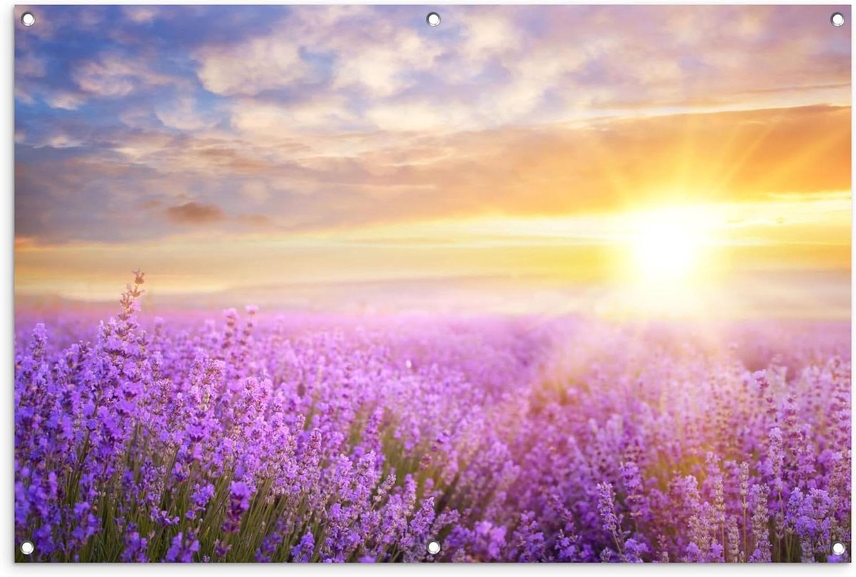 Tuinposter - Tuindoek Buiten - Tuin Decoratie - UV Bestendig Materiaal - 120x80 cm - Multicolor
