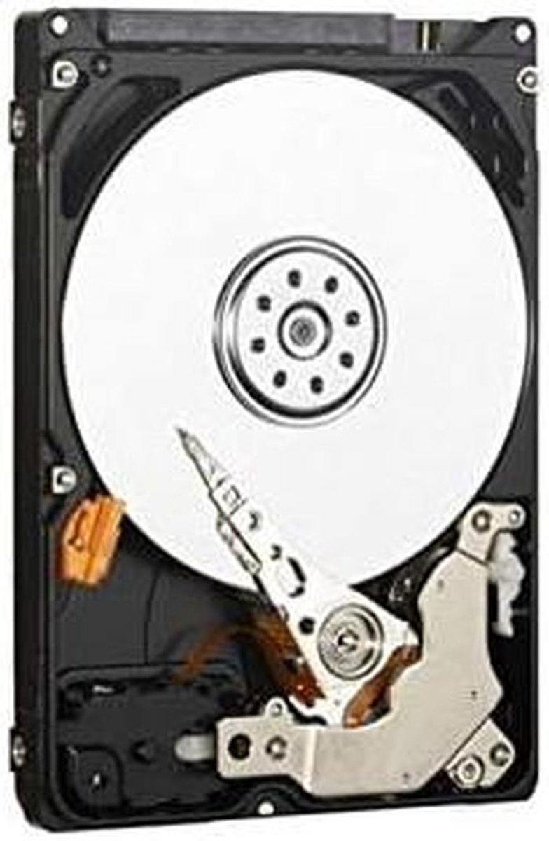 Interne Harde Schijf - Opslagstation - Gegevens Opslaan - Snelle SATA Interface - 320 GB - Zilver