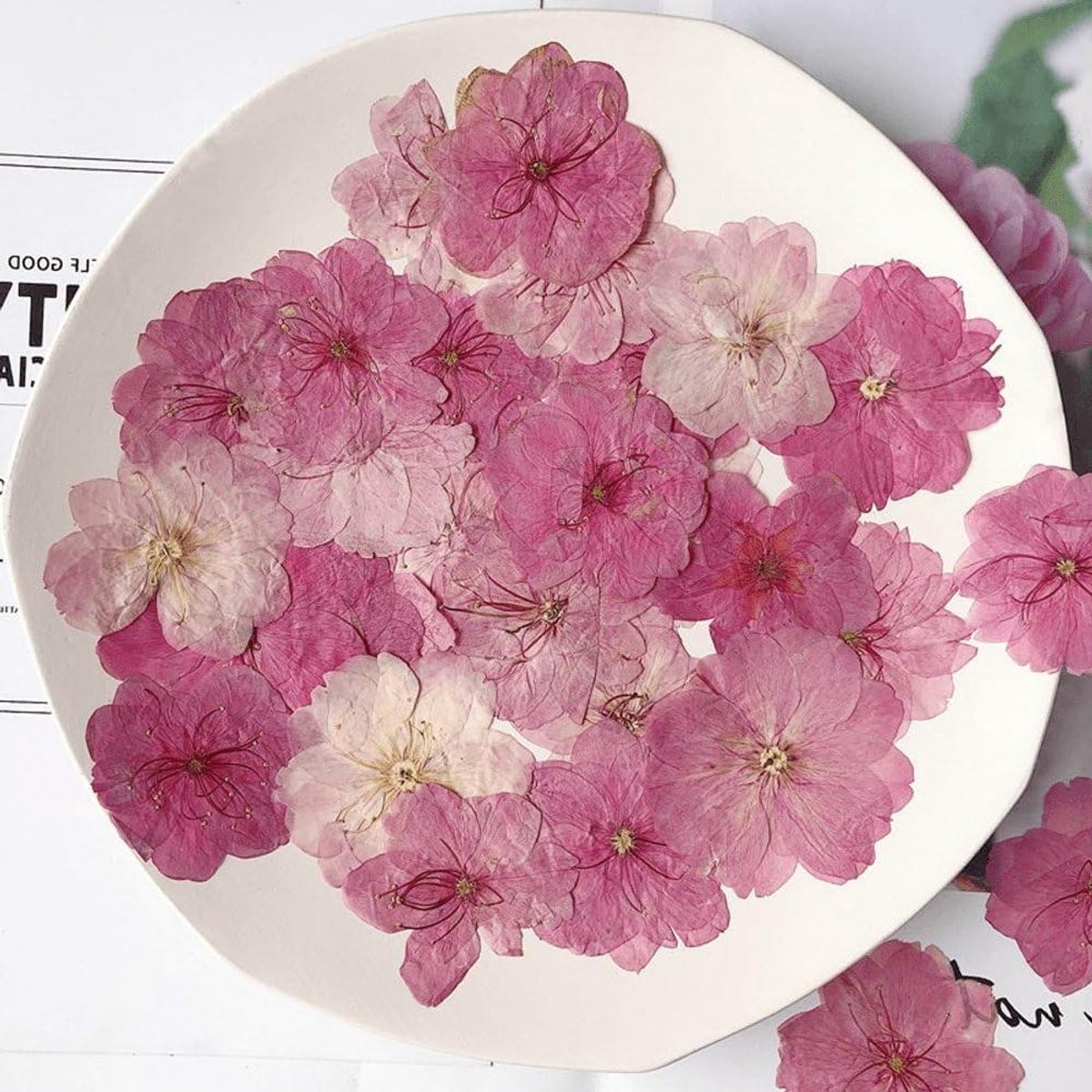 Gedroogde Bloemen - Geperste Bloemen - Hars Sieraden Maken - Natuurlijk Geperst - 3-4 cm Diameter - Roze