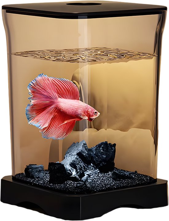 Het Tropische Aquarium Van De Vissentank Stock Afbeelding - Image of