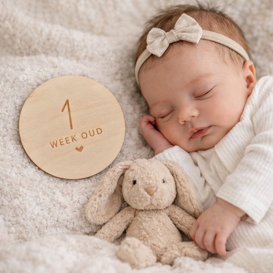 Mijlpaalcirkels - 18 ontwerpen - houten mijlpaalschijven - babyshower cadeau - Fien & Feau van Merkloos — afbeelding 3