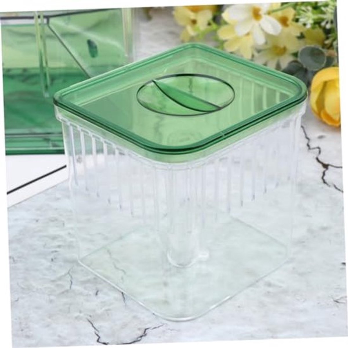 Aquarium acclimatisatie goudvis kweekbox aquarium braadpan dubbele kweektray Guppy kweektank visincubators viskweekbox kweekbox kinderkamer box