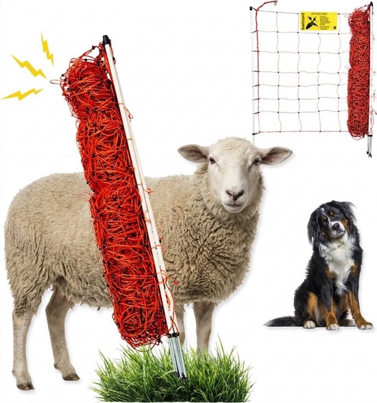 Un mouton se tient à côté d'une clôture orange enroulée et un chien est assis à proximité. Une pancarte d'avertissement est visible.