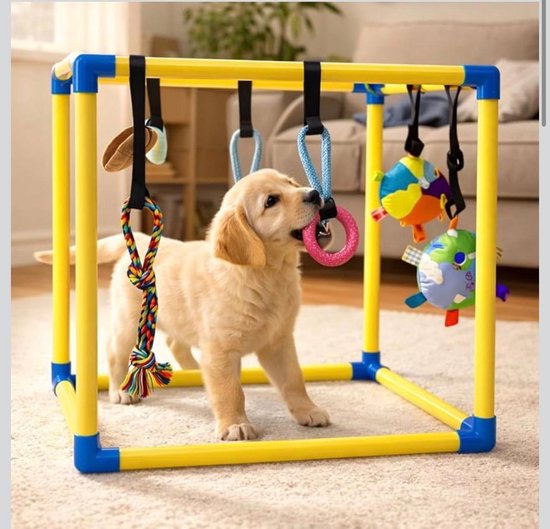 Een goudkleurige puppy kauwt op een roze ring aan de speelgym met een geel frame en blauwe connectoren.