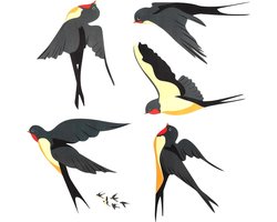 Set van 5 Anti-Collisie Raamstickers in Vogels Vorm - Zonlicht Vangen, Statische Hechting voor Ramen en Deuren, Voorkom Vogelbotsingen