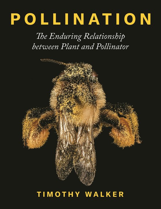 Couverture de livre avec un gros plan d'une abeille recouverte de pollen jaune. Texte : "POLLINATION The Enduring Relationship between Plant and Pollinator" et "TIMOTHY WALKER".