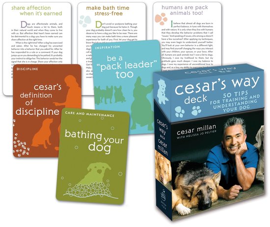 Cesar's Way Deck met deksel met Cesar Millan en honden. Kaarten met illustraties van honden en tekst.
