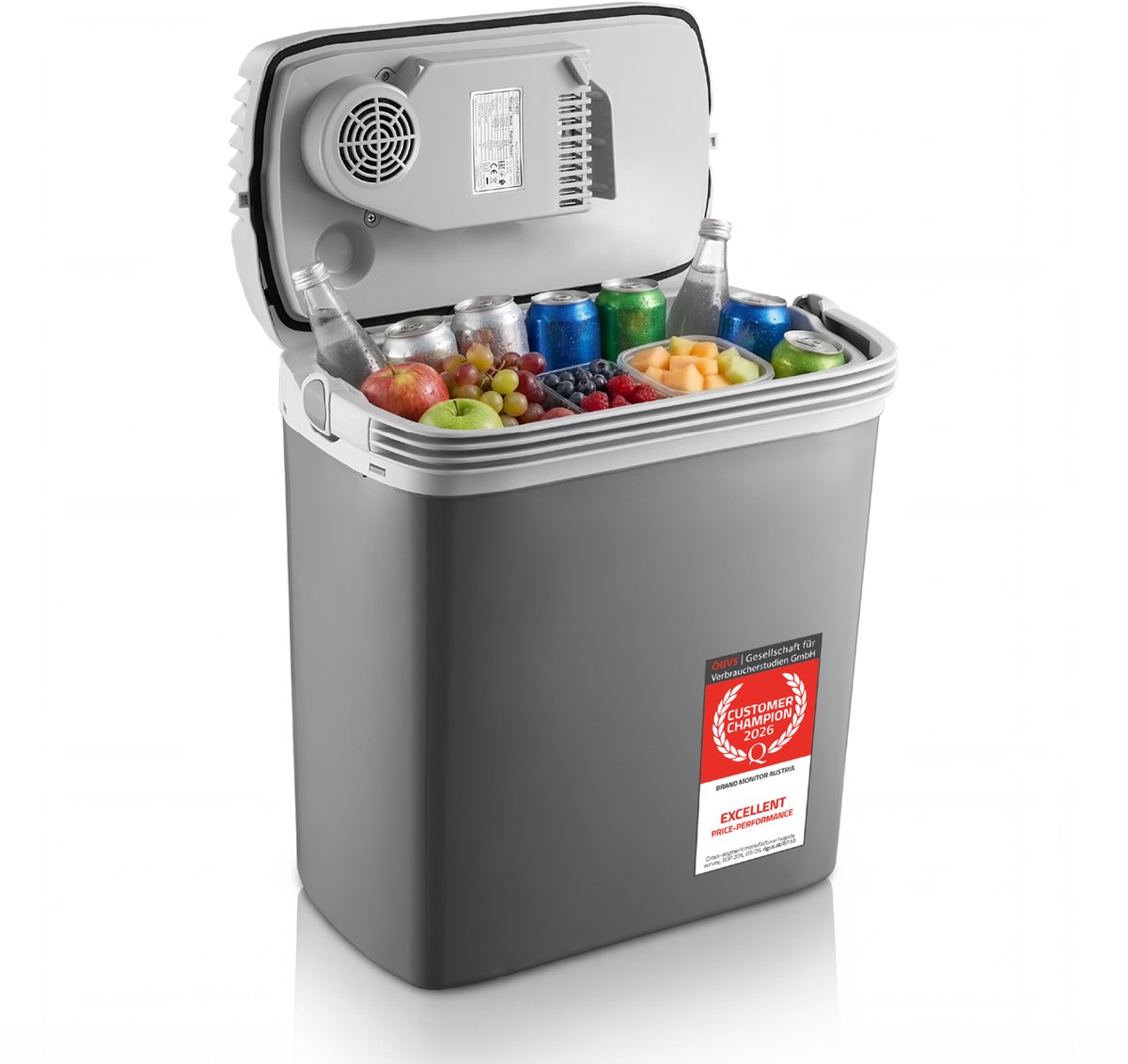 TZS First Austria Elektrische Koelbox - 19L - 12V en 230 volt - Frigobox - Koelen en Verwarmen - Zwart