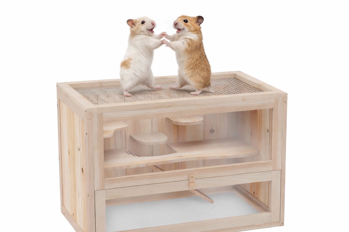 NordHaus Hamsterkooi - Houten Knaagdier Verblijf - Twee Niveaus met Loopplank - Plexiglas Panelen - 60x42x35 cm