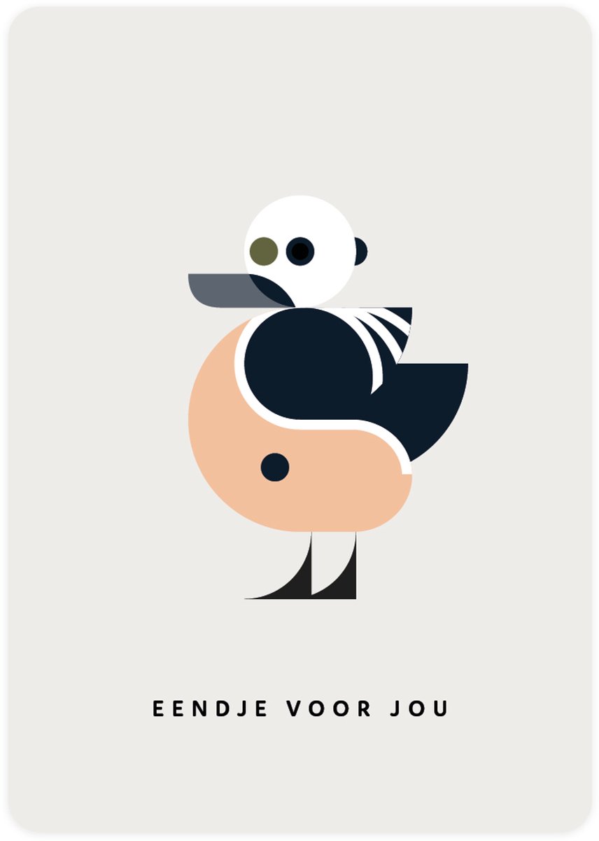 Nog eendje dan - 4x leuke verjaardagskaarten om te versturen - kaartenset - kaart met Stellers Eider - vier kaarten met vogels