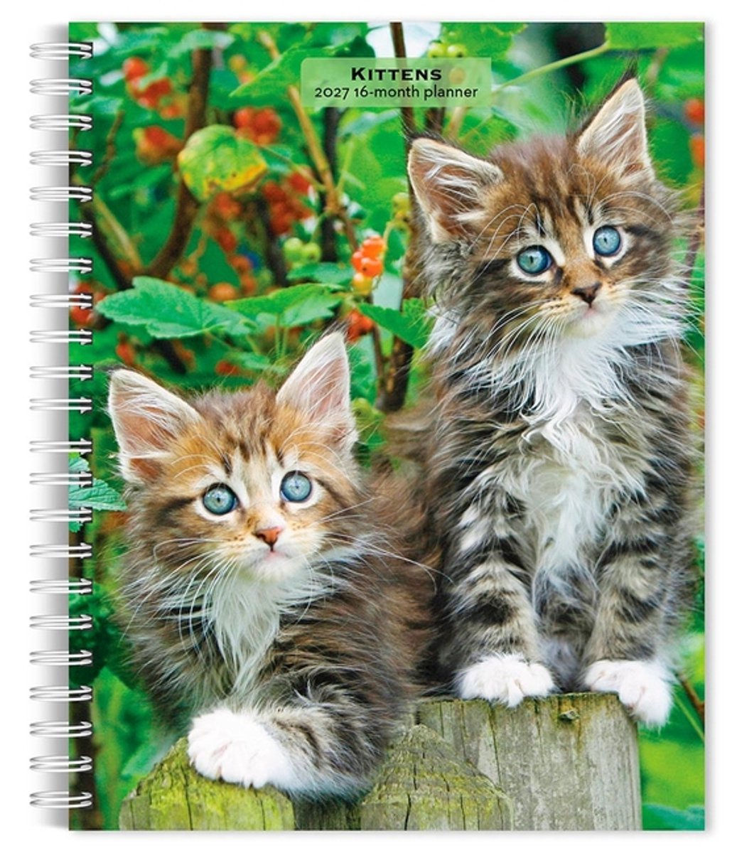 Kittens Agenda 2027