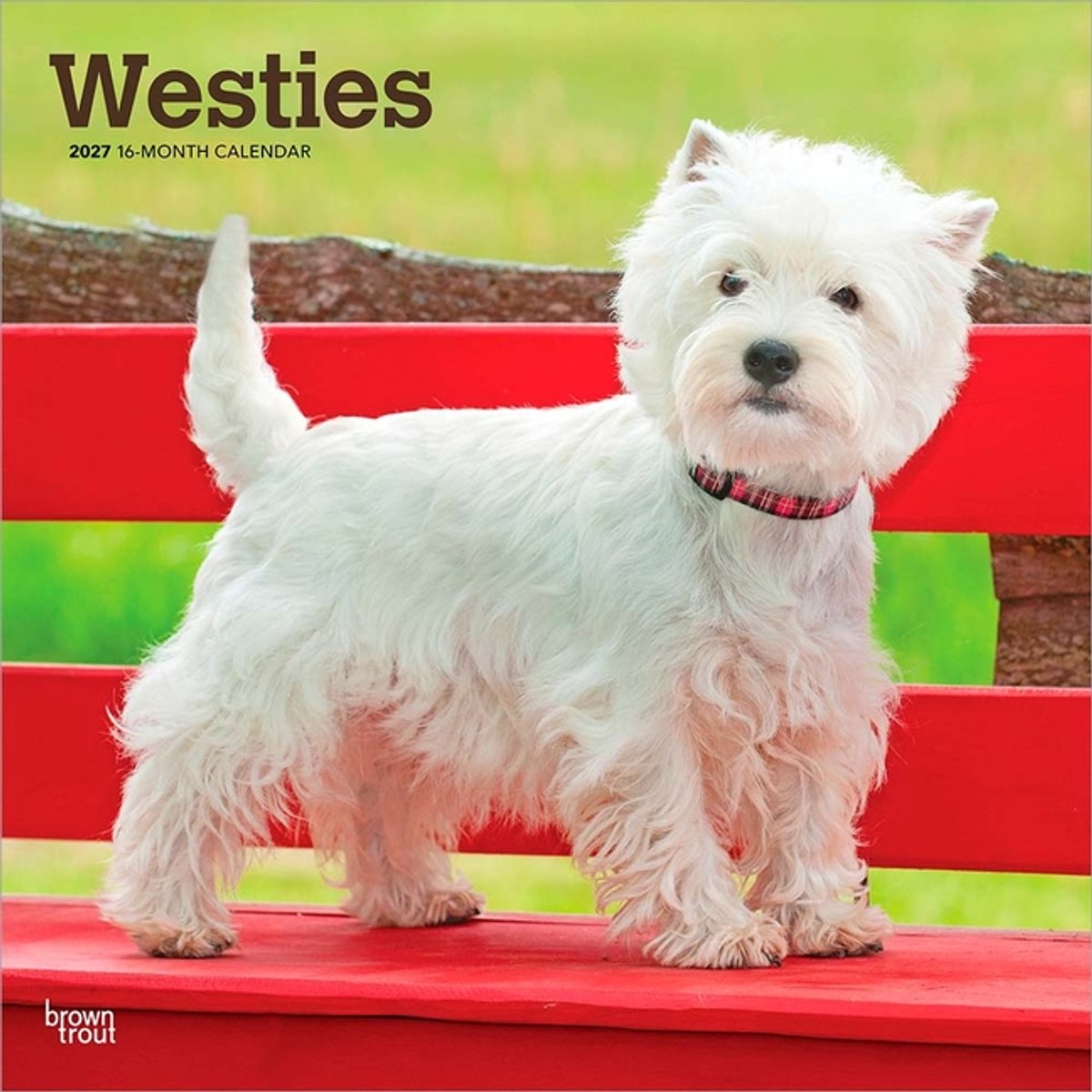 West Highland White Terrier Kalender 2027