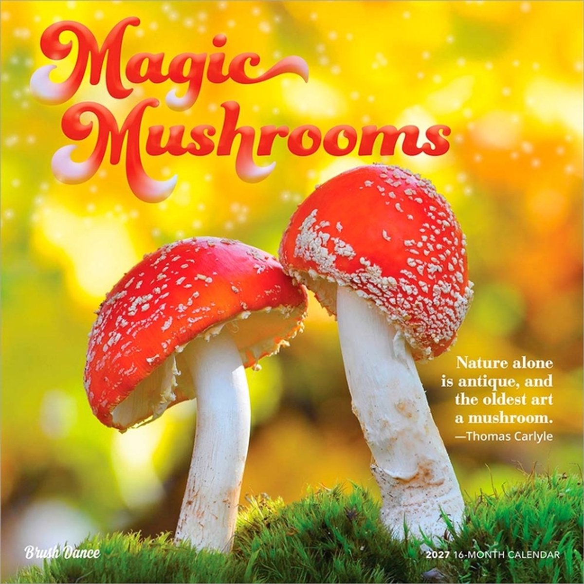 Magische Paddenstoelen Kalender 2027
