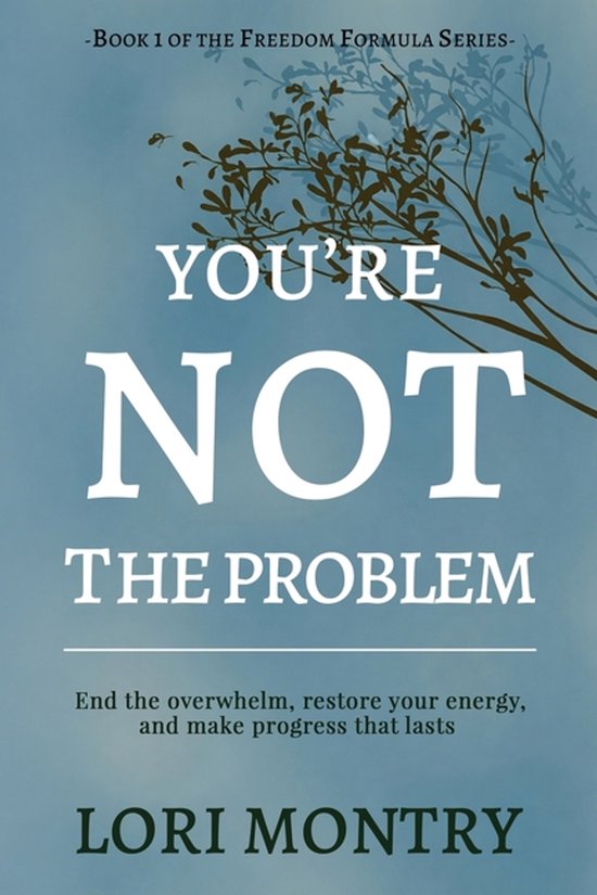 You're Not the Problem - cover