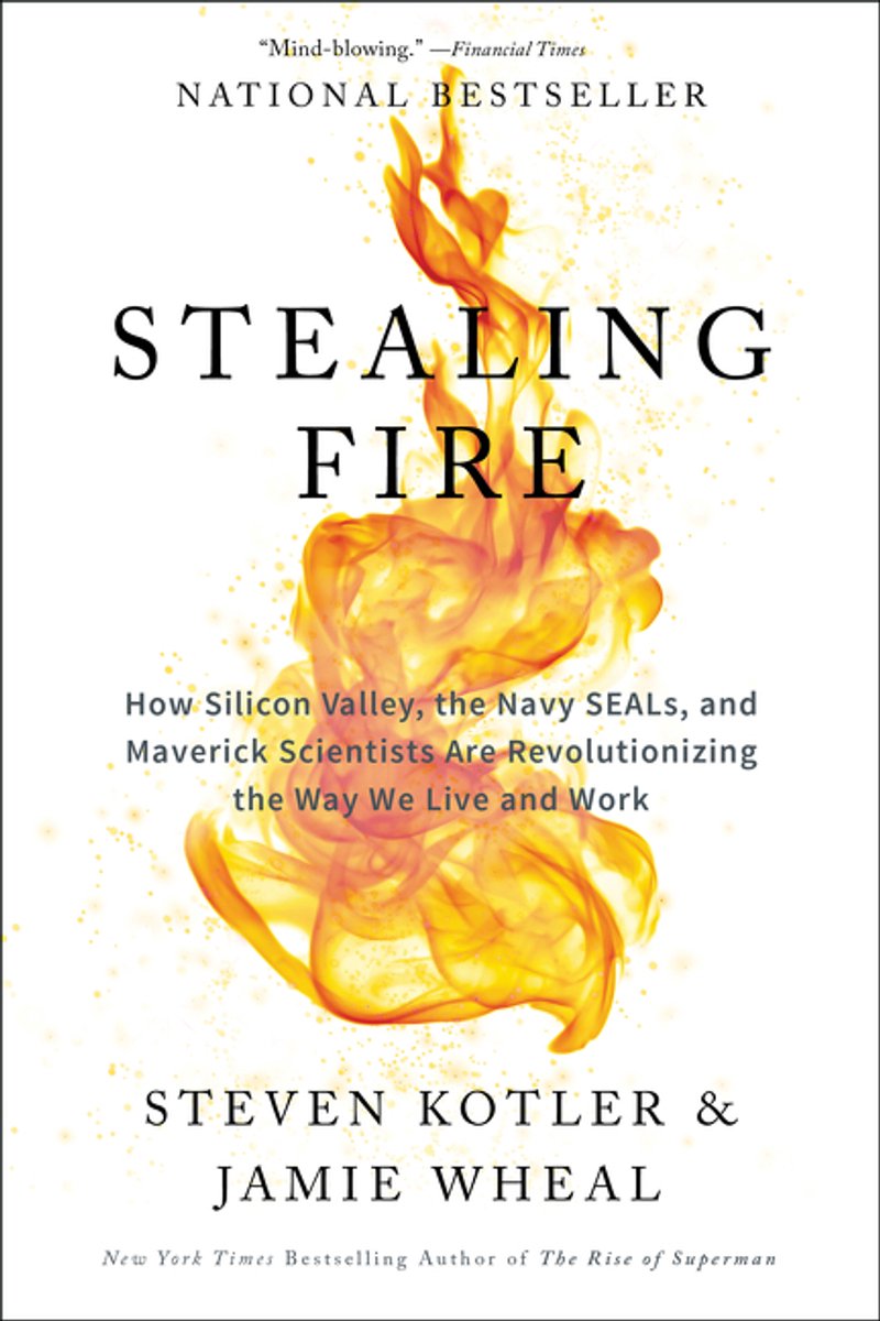 Omslag van Stealing Fire How Silicon Valley, the Navy SEALs, and Maverick Scientists Are Revolutionizing the Way We Live and Work