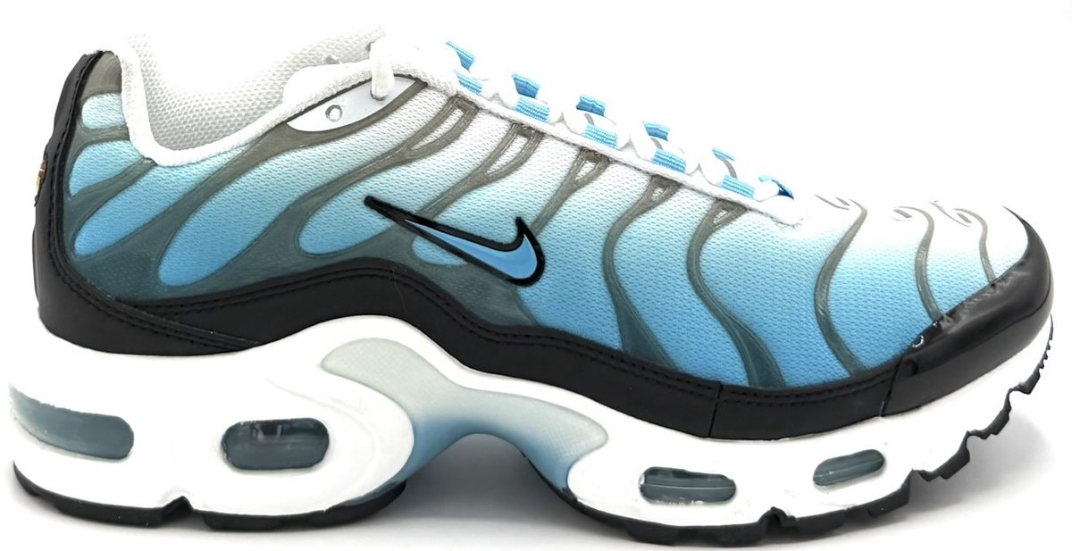 Nike Nike Air Max Plus GS Sneakers Baltic Blauw