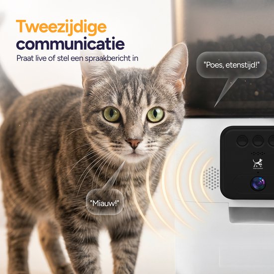 Grijze cyperse kat kijkt naar de camera met spraakbubbel "Miau!". Tekst: Tweezijdige communicatie.