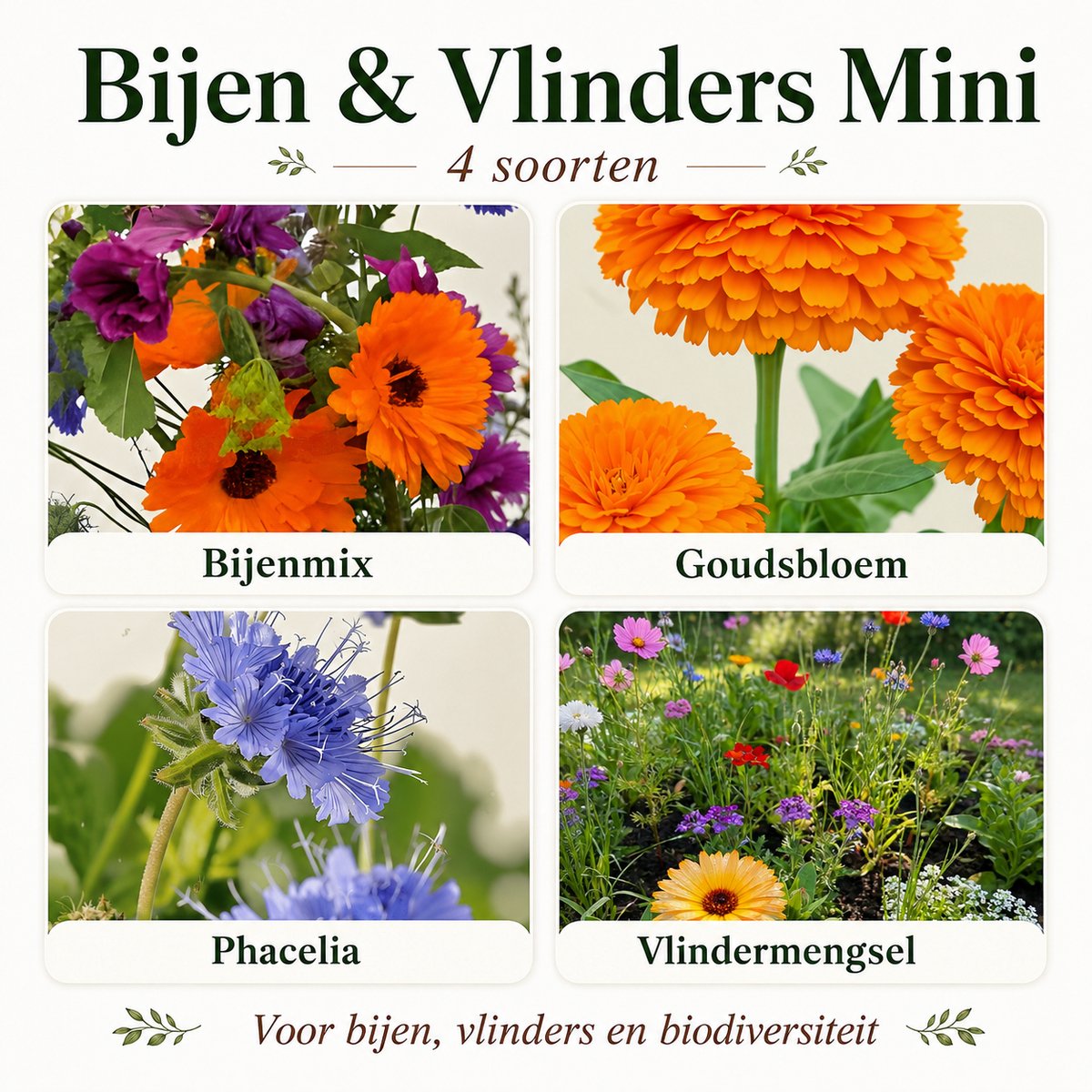 Bio Bloemenzaad Bijen en Vlinders Mini – 4 Soorten Bloemenzaden – Bijenmix, Vlindermengsel, Phacelia en Goudsbloem