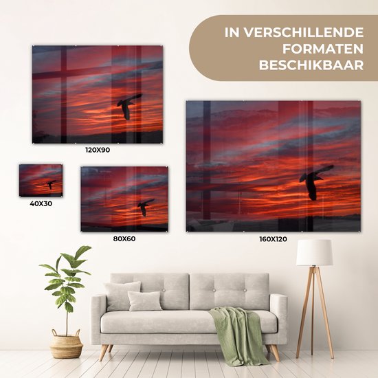 ® Glasschilderij 40x30 cm - Schilderij acrylglas - Silhouet van een stormmeeuw - Foto op glas - Muurdecoratie woonkamer - Wanddecoratie slaapkamer - Schilderijen