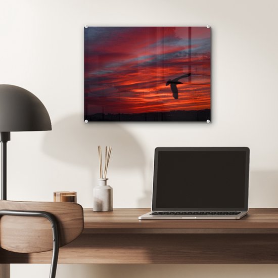 ® Glasschilderij 40x30 cm - Schilderij acrylglas - Silhouet van een stormmeeuw - Foto op glas - Muurdecoratie woonkamer - Wanddecoratie slaapkamer - Schilderijen