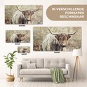 Woonkamer met Schotse Hooglander glasschilderij in vier verschillende formaten aan de muur.