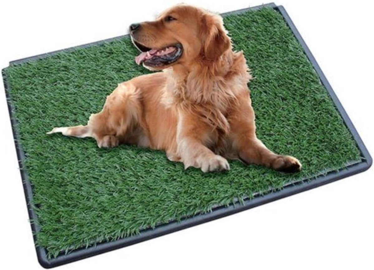 Honden Toilet - Plasbak Puppy - Zindelijkheidstraining - Inclusief 2 Matten - 15 x 35 x 5 cm - Grijs