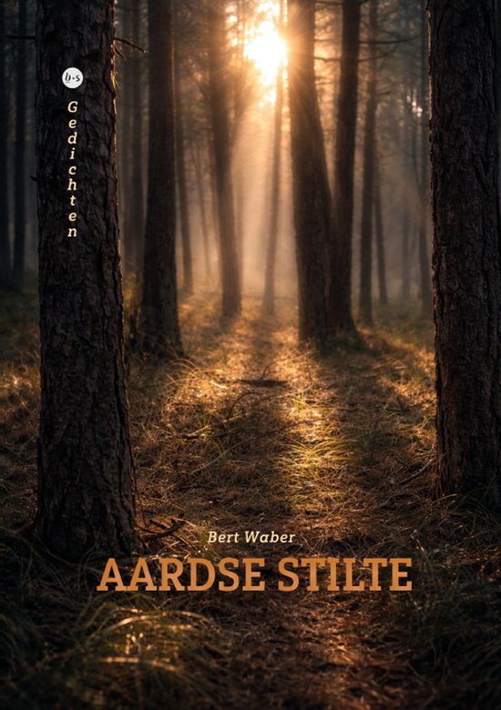 Aardse stilte - cover