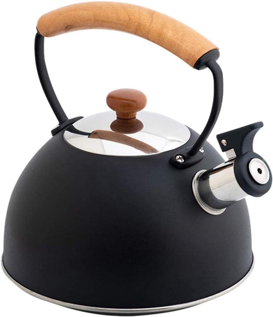Fluitketel - Theepot - Water Koken - Hittebestendig Handvat - 2.5 Liter - Zwart