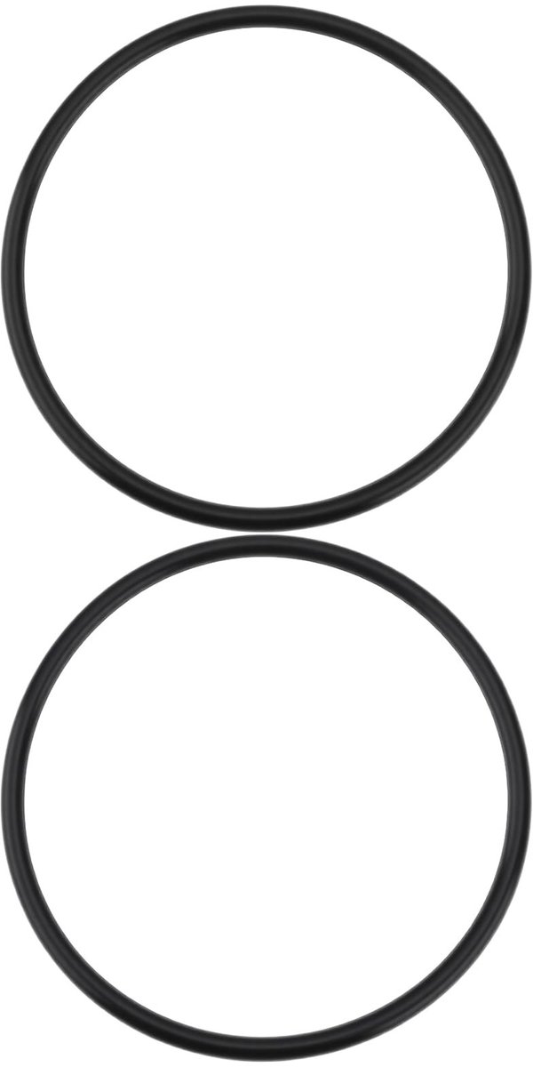 Poolpomp O-Ring 350013Z U9-229 - Compatibel met Dura en Max-E Pump Cover