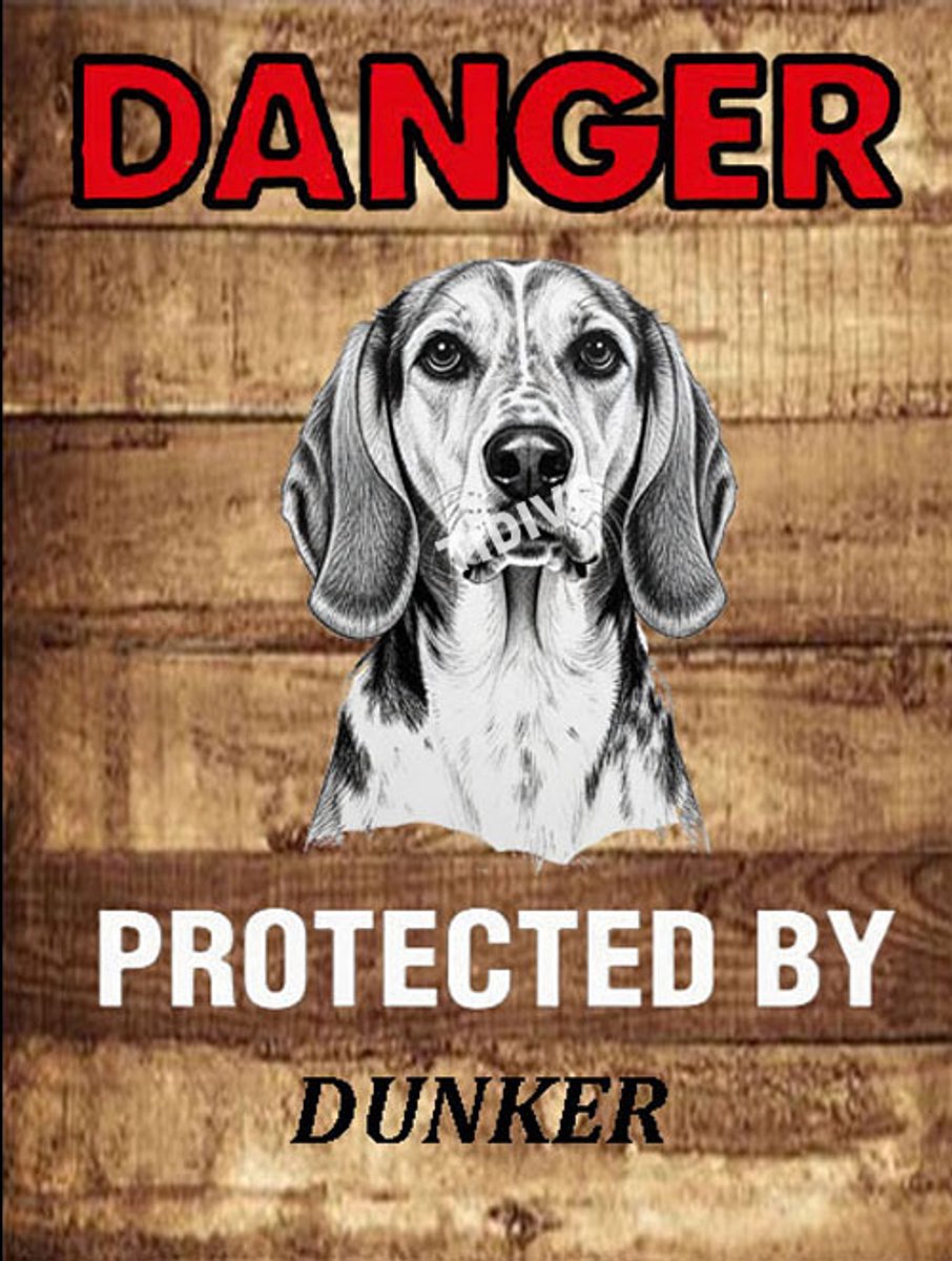 Dunker 19