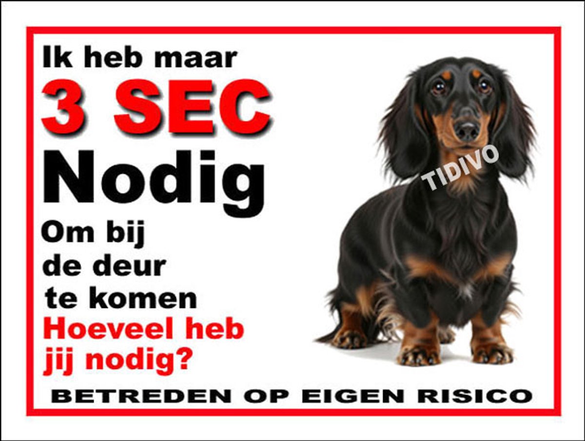Dashond, Langhaar 6