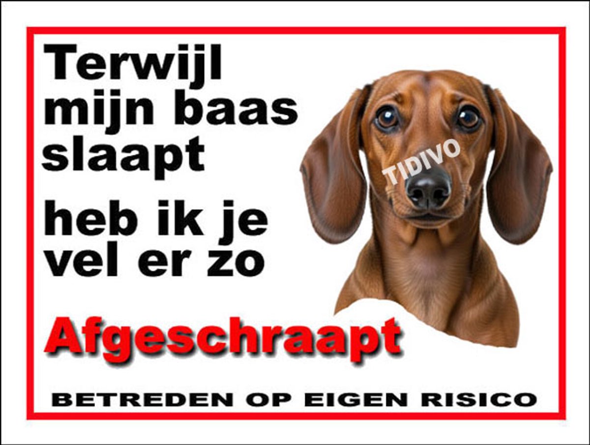Dashond, Korhaar 15
