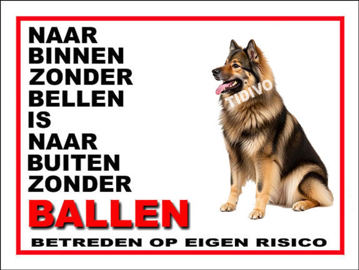 Eurasier 11