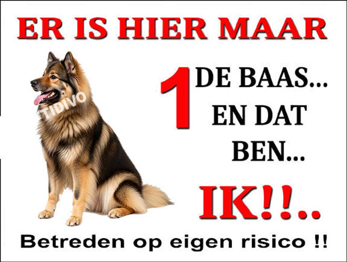 Eurasier 26