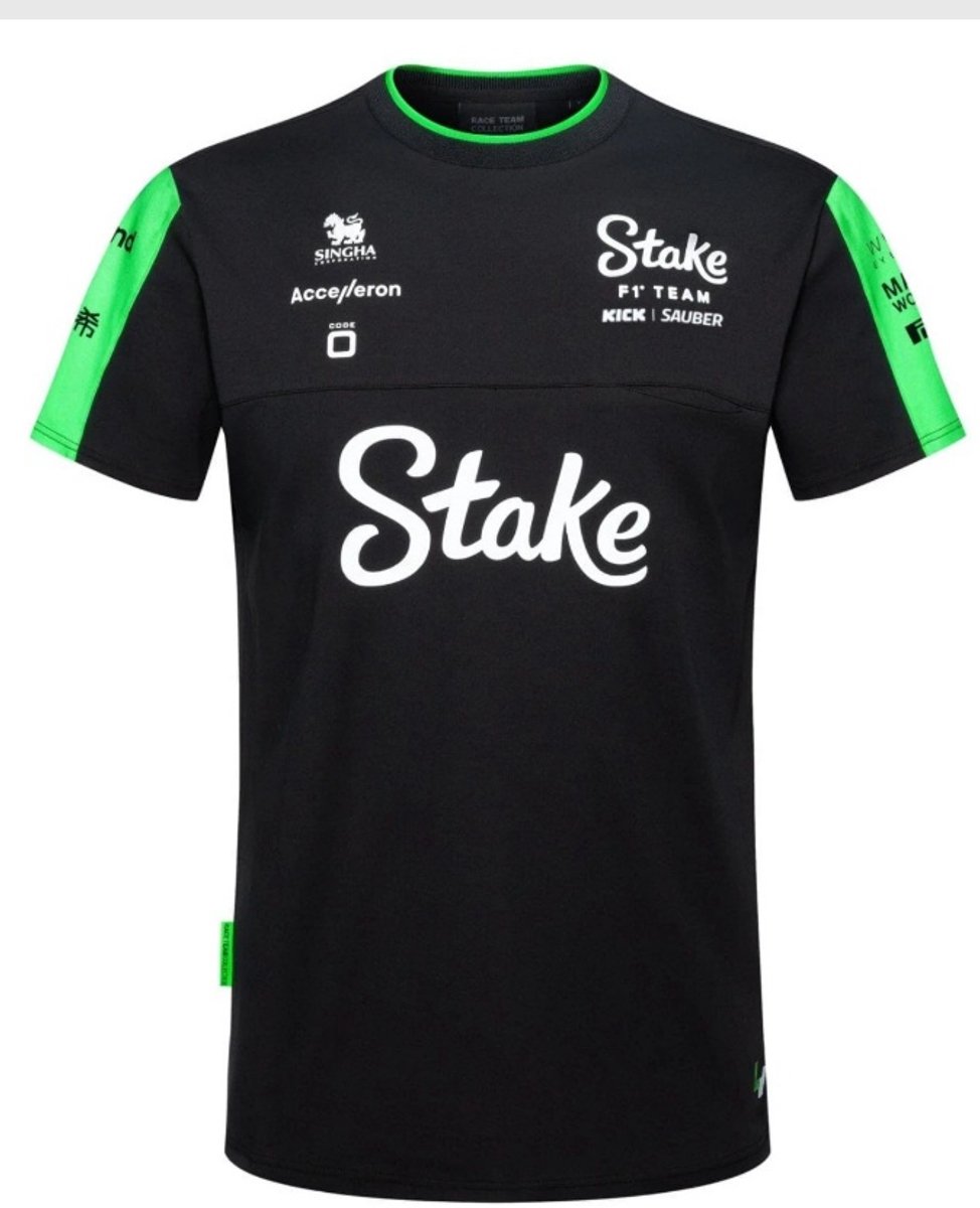 Stake F1 Team - Official - Team T-shirt - Heren - Zwart - Maat L