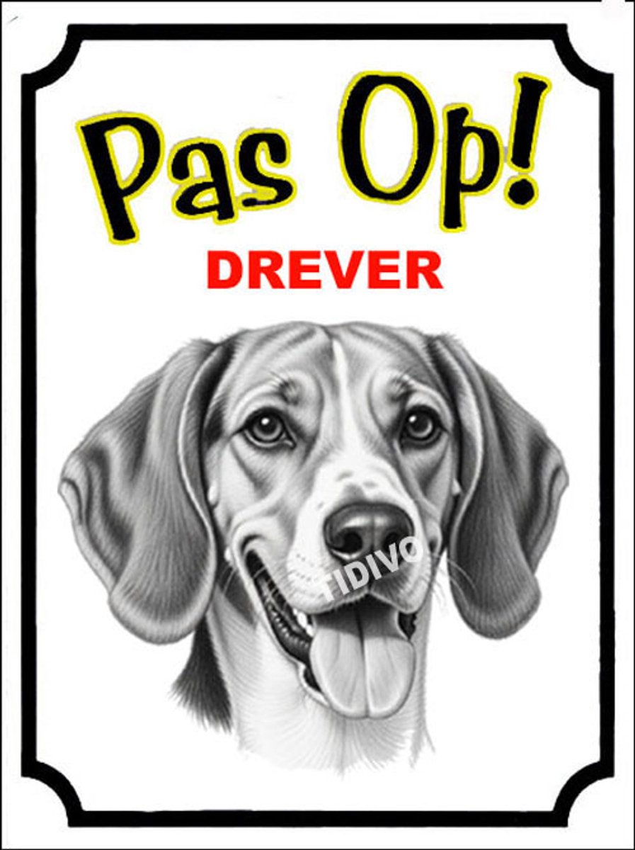 Drever 16