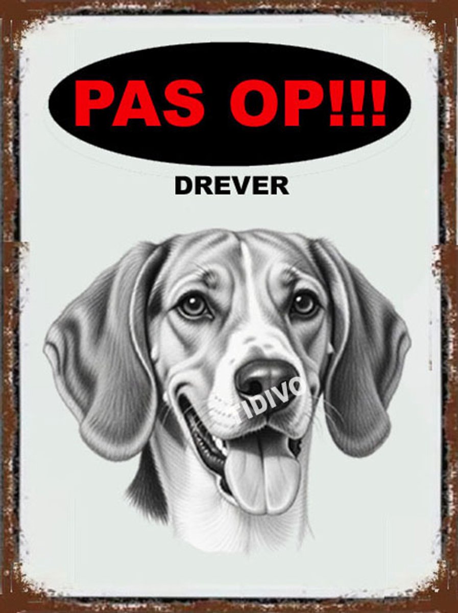 Drever 17