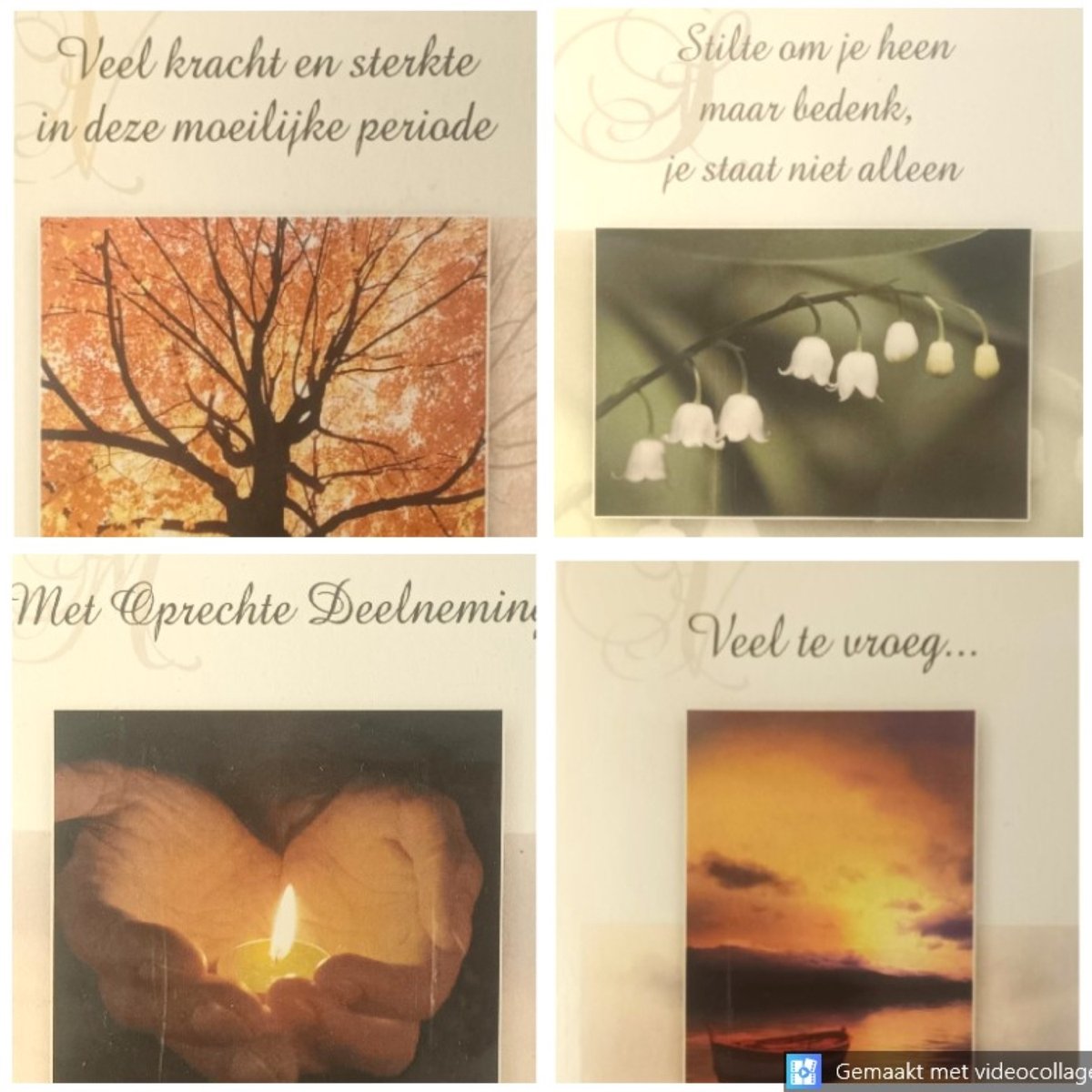 4 Luxe Deelneming Condoleance Wenskaarten - 4 Motieven - Oprechte Deelneming - Condoleance - Sterkte - Sterfgeval - Touche Cards - Met Envelop - 16.5x11.5cm - Beileid - Condolence