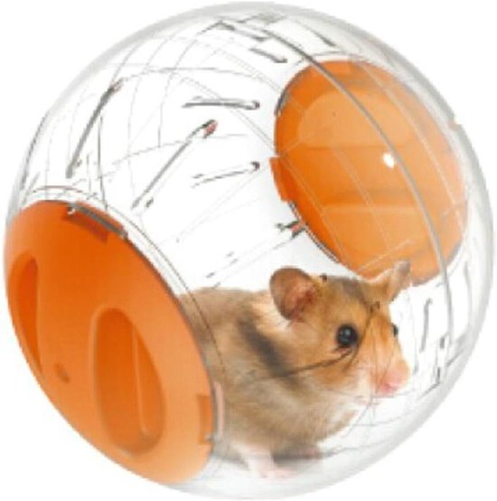 Foto: Titel mini 4 8 kleine dieren hamster run about oefening bal oranje 