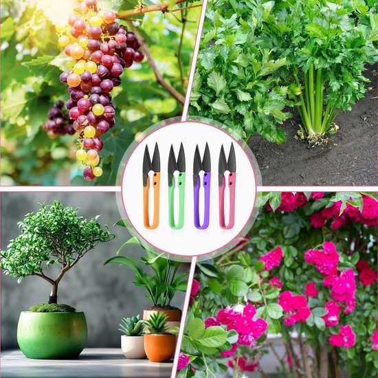 4 stuks oogstschaar, snoeischaar, mini-bonsai-schaar, kleine plantenschaar, groeiaccessoires, naadscheider, gecoate premium roestvrij stalen rozenschaar, bonsai-gereedschap, draadschaar van Merkloos	 — afbeelding 2