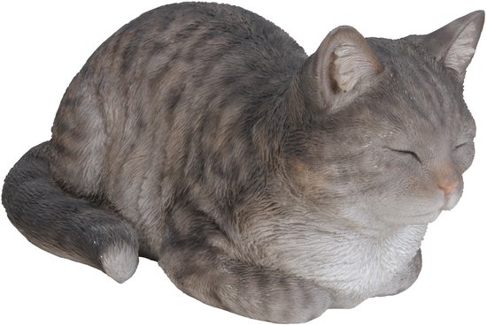 Chat gris avec des rayures foncées, endormi.