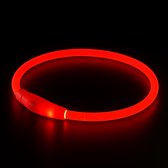 Collier pour chien LED lumineux - Siècle des Lumières de laisse pour chien rechargeable - Colliers d'éclairage pour chien lumineux - Taille unique - Rouge