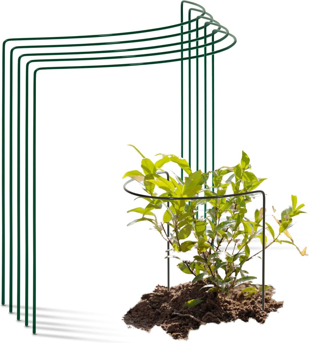 5 struiksteunen halfrond 40 cm Ø50 cm hoog groene vaste plantenhouder bloemenhouder klimplant plantensteun bloemensteun vaste plantensteun klimhulp struikhouder rozensteun