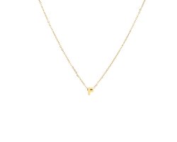 foto van Ketting goud met hanger F