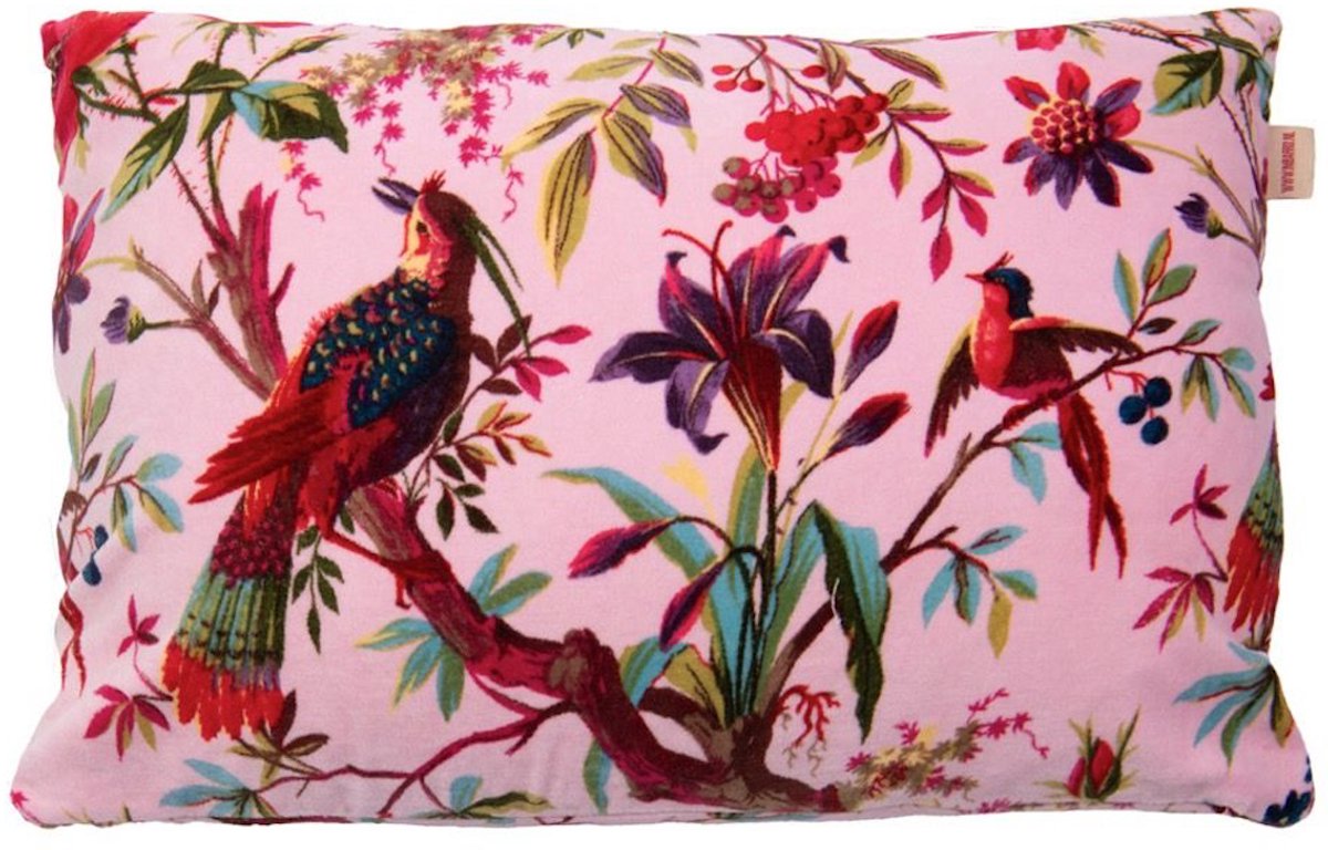 Cushion Paradise Blush 60x40