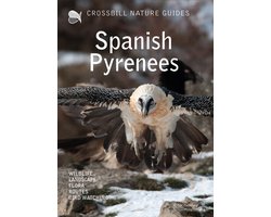 Spanish Pyrenees