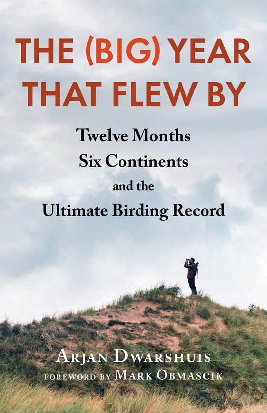 The (Big) Year that Flew By - cover