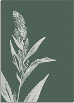 DesignClaud Vintage bloem blad pampa's gras poster - Groen - Puur Natuur Botanische poster A3 poster (29,7x42 cm)