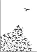 DesignClaud Zwerm vogels poster - Zwart wit poster - Hoek A4 + Fotolijst wit